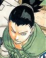   Shikamaru