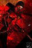     
: CydWeGyXv78.jpg
: 582
:	70.6 
ID:	12057