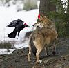     
: 1349716829967.jpg
: 765
:	104.2 
ID:	12268
