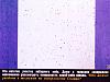     
: p_07.jpg
: 465
:	122.9 
ID:	17042