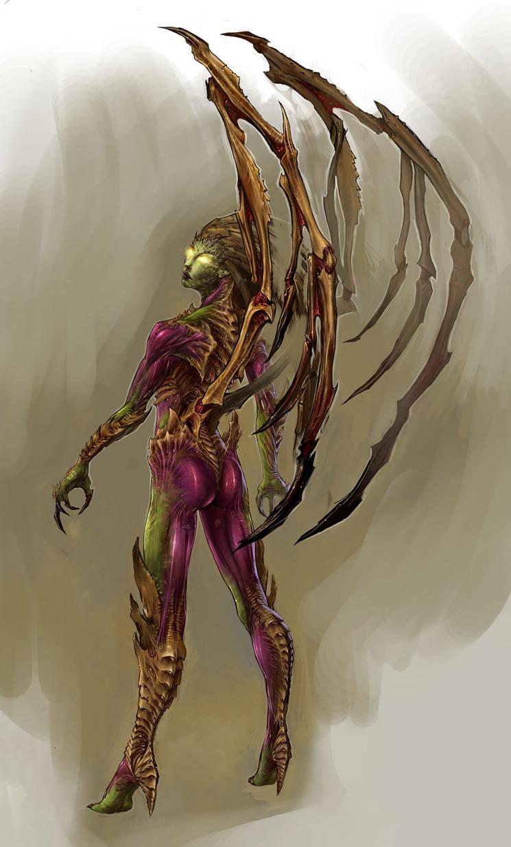 : starcraft-2-arts-41-.jpg
: 2931

: 90.7 