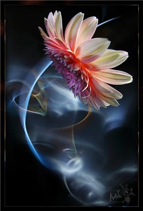 : b87faac94d71t.jpg
: 445

: 17.3 