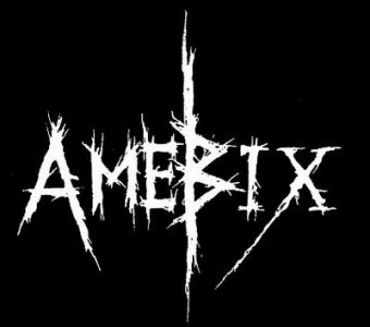 : Amebix_logo.jpg
: 772

: 14.2 
