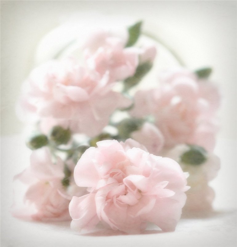 : ae967bd0f488.jpg
: 669

: 49.6 