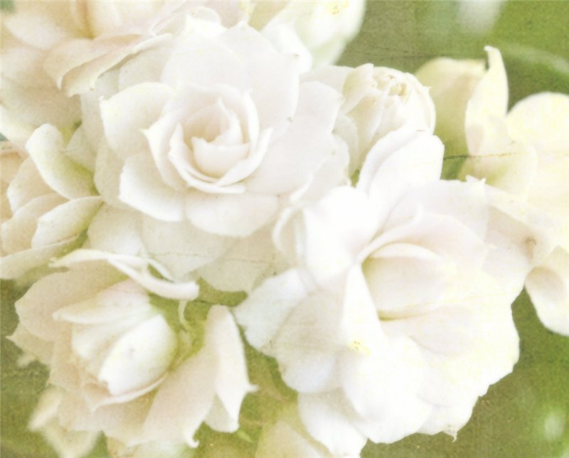 : c1b9144b22aa.jpg
: 675

: 54.3 