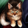 Аватар для Kitten Persida