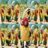 Аватар для 38 попугаев