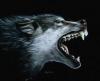 ~werewolf~